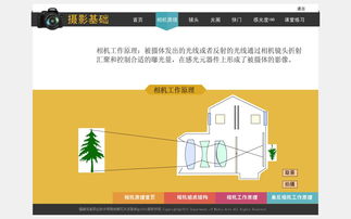 多媒體設計與制作專業(yè) 探索移動應用與廣告媒體的視覺創(chuàng)意世界